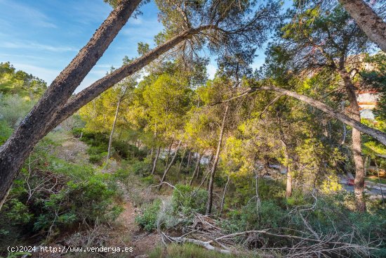 Solar en venta en Andratx (Baleares)