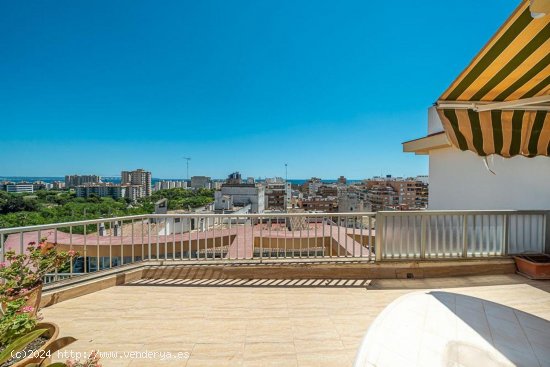 Piso en venta en Palma de Mallorca (Baleares)