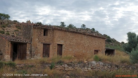  Finca en venta en Caspe (Zaragoza) 