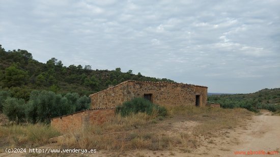 Finca en venta en Caspe (Zaragoza)