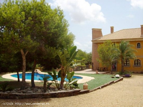 Finca en venta en Ciudad Quesada (Alicante)