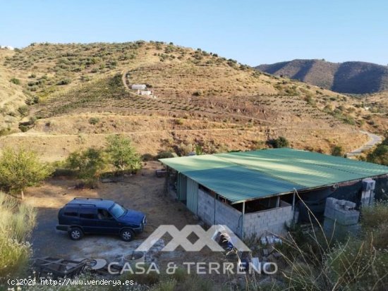  Finca en venta en Canillas de Aceituno (Málaga) 