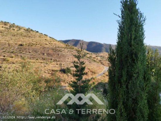 Finca en venta en Canillas de Aceituno (Málaga)