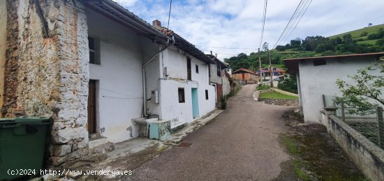 Casa en venta en Candamo (Asturias)