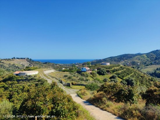 Solar en venta en Frigiliana (Málaga)