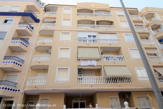 Apartamento en venta en Guardamar del Segura (Alicante)