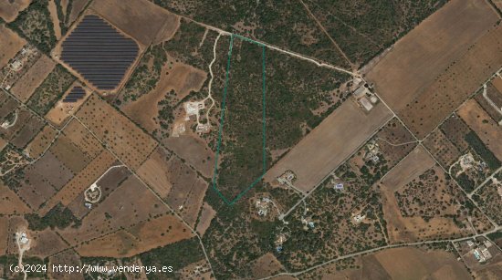 Solar en venta en Santanyí (Baleares)