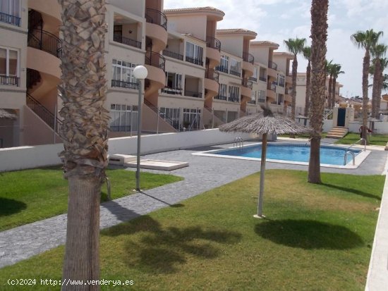  Apartamento en venta en Torrevieja (Alicante) 