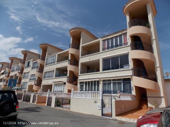 Apartamento en venta en Torrevieja (Alicante)