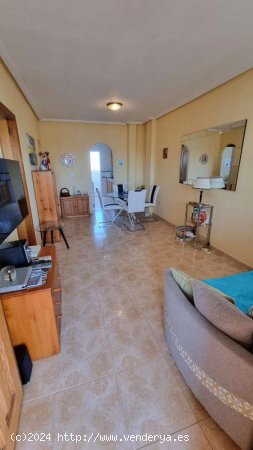 Apartamento en venta en Torrevieja (Alicante)