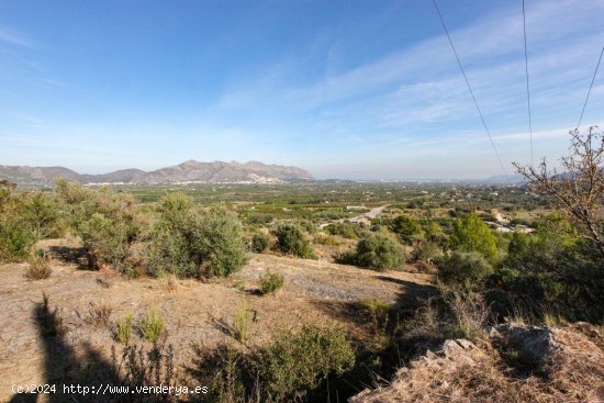  Solar en venta en Orba (Alicante) 