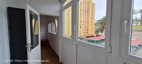 Piso en venta en Las Palmas de Gran Canaria (Las Palmas)