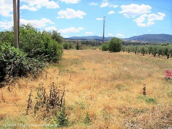 Parcela en venta en El Grado (Huesca)