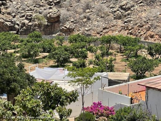  Finca en venta en San Bartolomé de Tirajana (Las Palmas) 