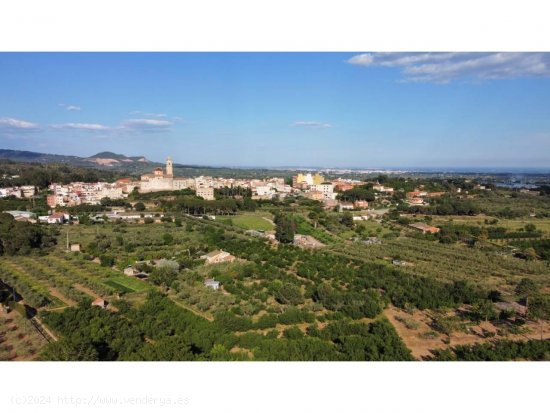  Finca en venta en Les Borges del Camp (Tarragona) 