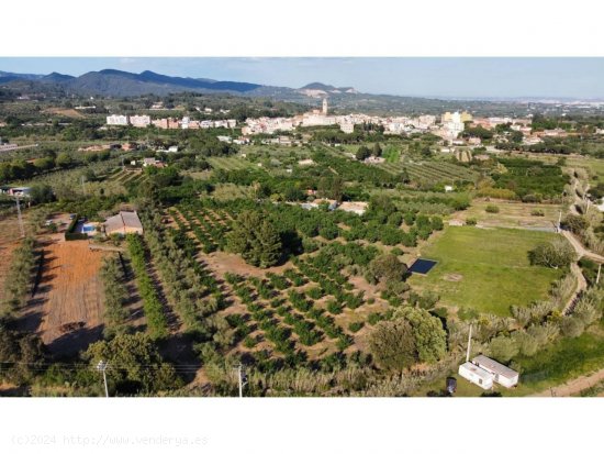 Finca en venta en Les Borges del Camp (Tarragona)