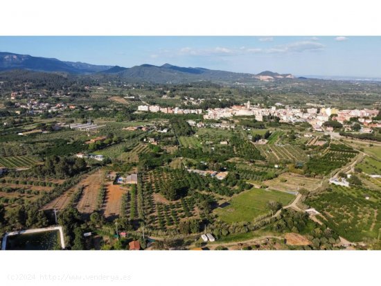 Finca en venta en Les Borges del Camp (Tarragona)