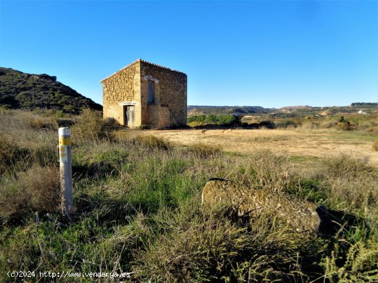 Finca en venta en Maella (Zaragoza)