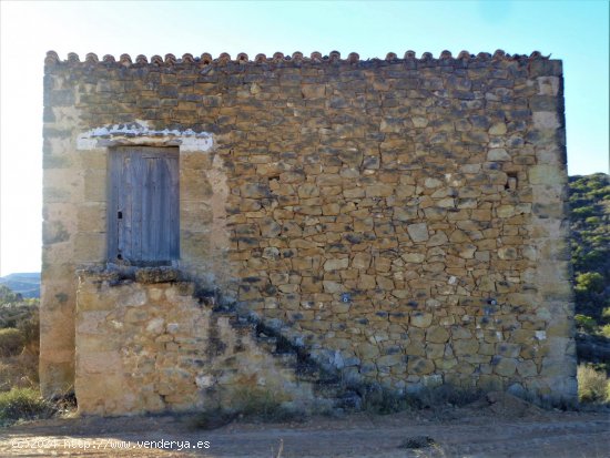 Finca en venta en Maella (Zaragoza)