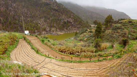  Finca en venta en Artenara (Las Palmas) 