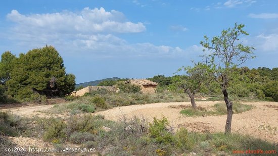 Finca en venta en Fuentespalda (Teruel)