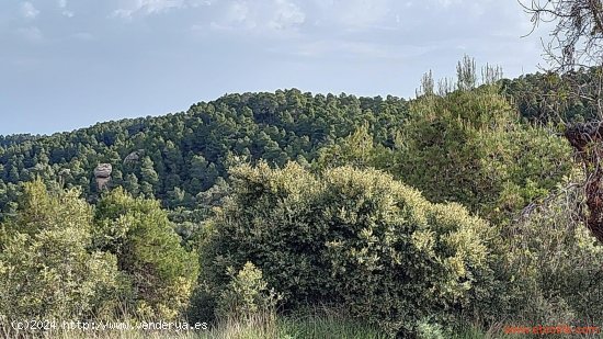 Finca en venta en Fuentespalda (Teruel)