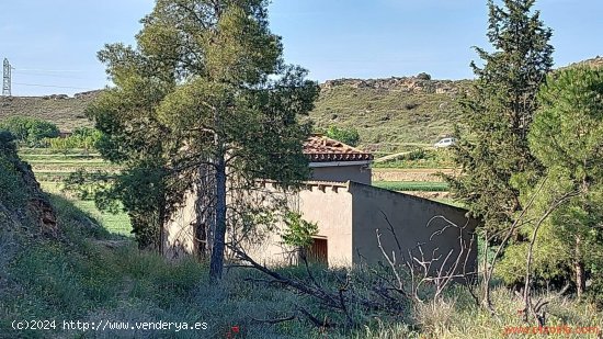  Finca en venta en Caspe (Zaragoza) 