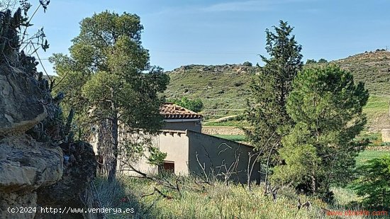 Finca en venta en Caspe (Zaragoza)