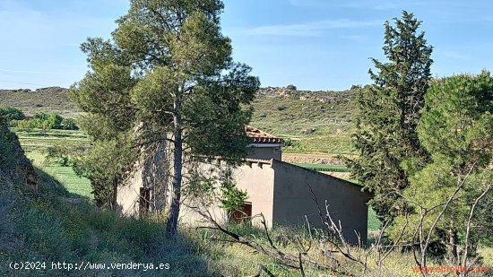 Finca en venta en Caspe (Zaragoza)