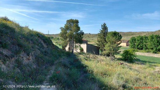 Finca en venta en Caspe (Zaragoza)