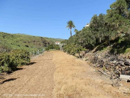 Finca en venta en Ingenio (Las Palmas)