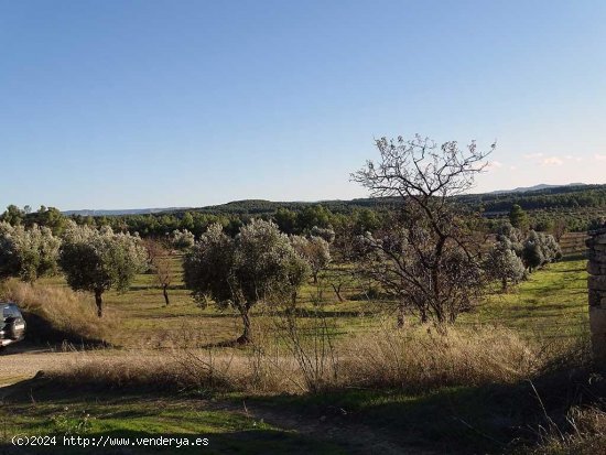 Finca en venta en Torre del Compte (Teruel)