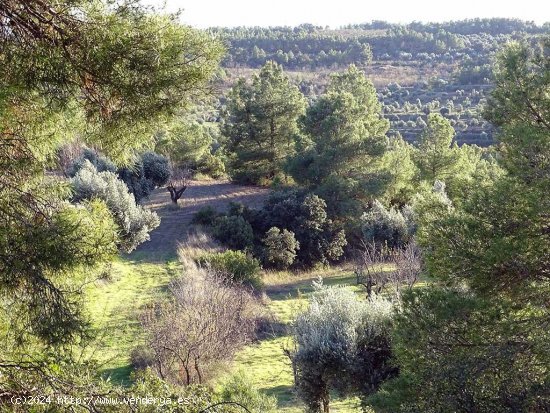 Finca en venta en Torre del Compte (Teruel)