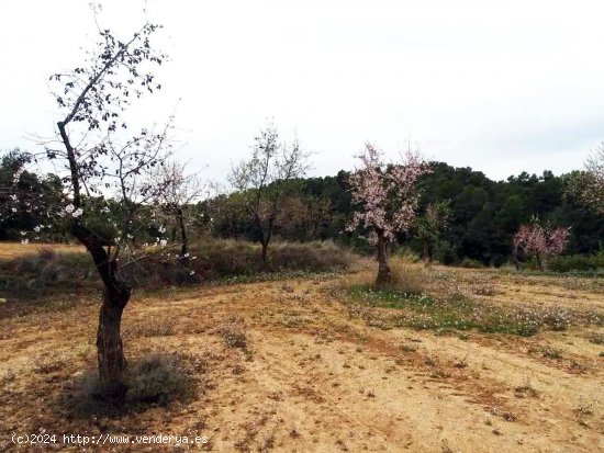  Finca en venta en Valjunquera (Teruel) 