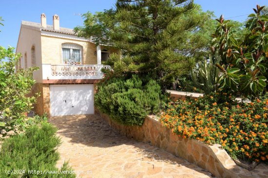  Villa en venta en Torrevieja (Alicante) 