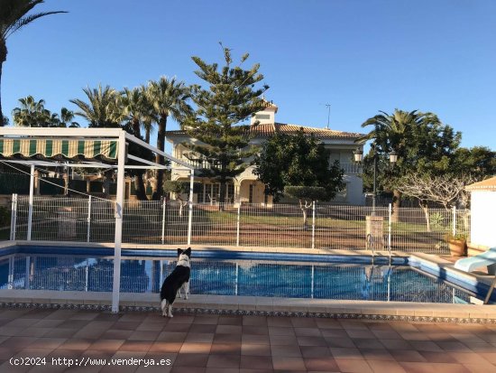 Chalet en venta en Orihuela (Alicante)