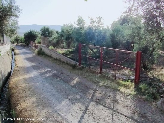 Parcela en venta en Nigüelas (Granada)