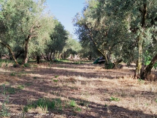 Parcela en venta en Nigüelas (Granada)