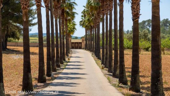 Villa en venta en Algaida (Baleares)