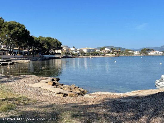 Solar en venta en Alcúdia (Baleares)