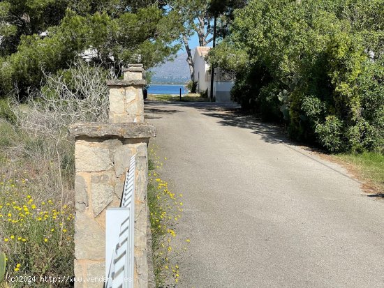 Solar en venta en Alcúdia (Baleares)