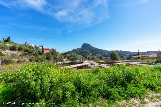  Solar en venta en Puigpunyent (Baleares) 