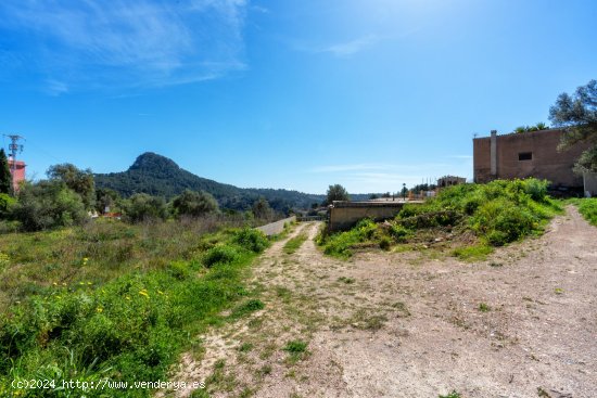 Solar en venta en Puigpunyent (Baleares)