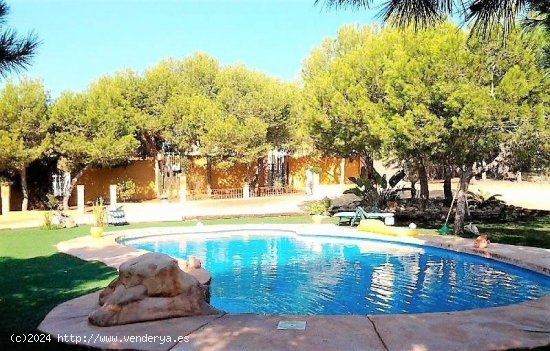 Finca en venta en Rojales (Alicante)