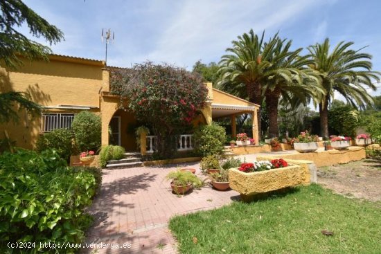  Villa en venta en Llíria (Valencia) 