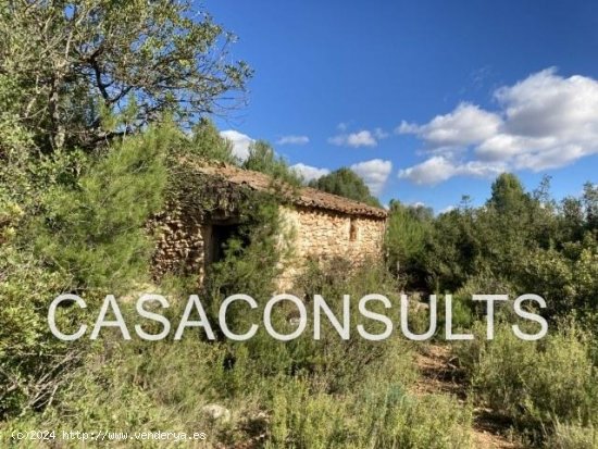  Chalet en venta en Useras (Castellón) 