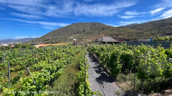 Chalet en venta en Guía de Isora (Tenerife)