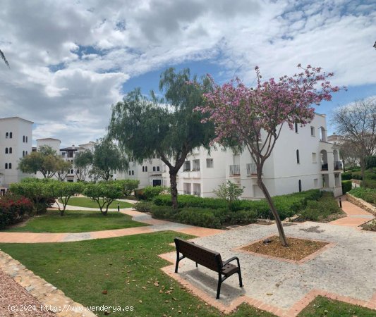 Apartamento en venta en Torre-Pacheco (Murcia)