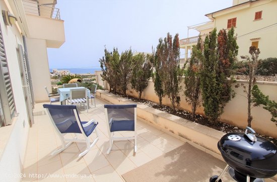 Apartamento en alquiler en Manacor (Baleares)