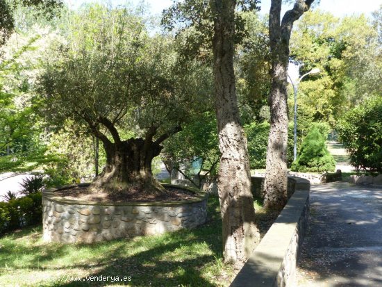 Finca en venta en Hostalric (Girona)